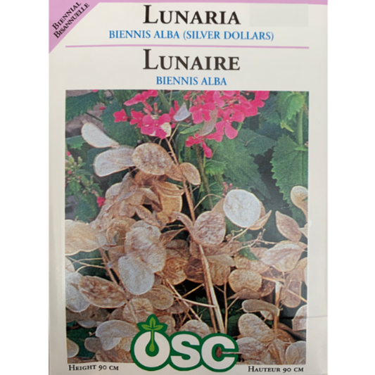 OSC Seeds Lunaria Silver Dollars Pkg.