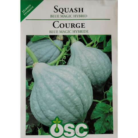 OSC Seeds Squash Blue Magic Hybrid (Hubbard) Pkg.