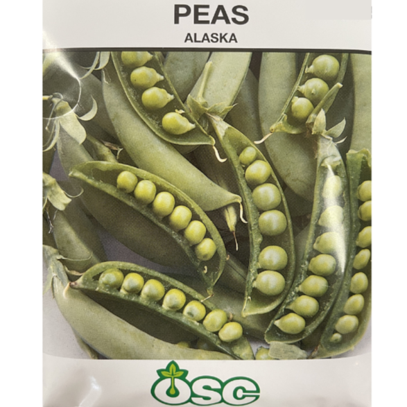 OSC Seeds Pea Alaska Large Pkg.