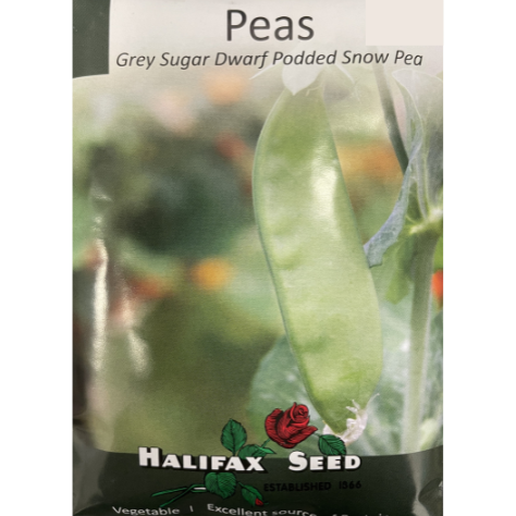 Halifax Seed Peas Grey Sugar Dwarf Podded Snow Pea Pkg.