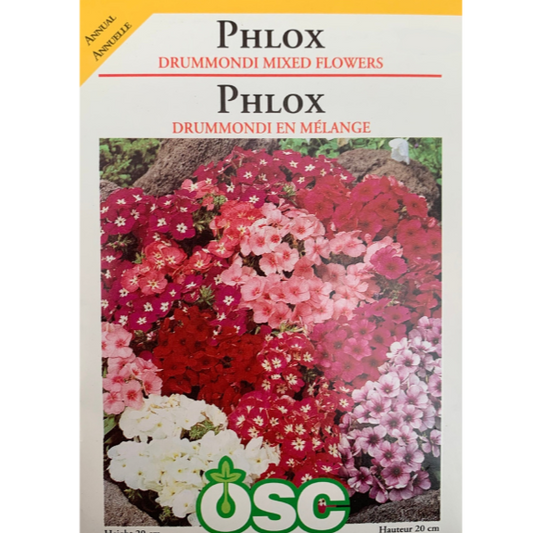 OSC Seeds Phlox Drummondi Mixed Flowers Pkg.