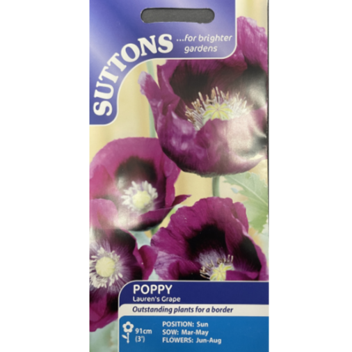 Suttons Seed Poppy Lauren's Grape Pkg.