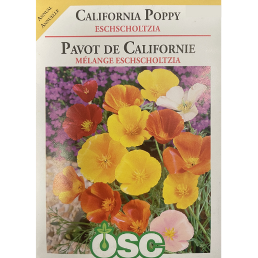 OSC Seeds Poppy California Eschscholtzia Pkg.