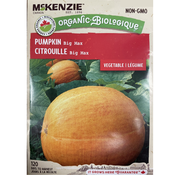 McKenzie Organic Seed Pumpkin Big Max Pkg.