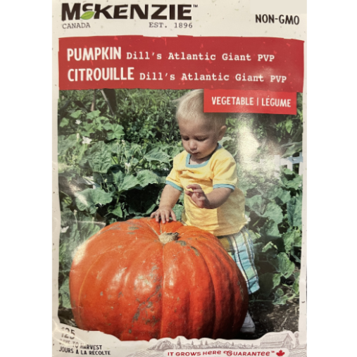 McKenzie Seed Pumpkin Dill's Atlantic Giant PVP Pkg.