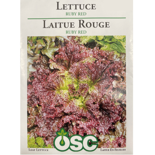 OSC Seeds Lettuce Ruby Red Pkg.