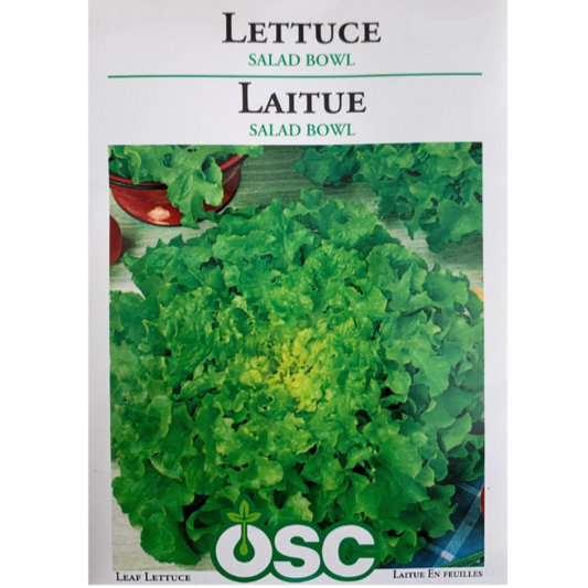 OSC Seeds Lettuce Salad Bowl Pkg.