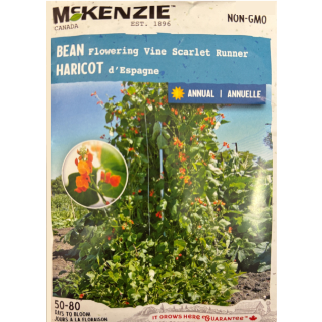 McKenzie Seed Bean Scarlet Runner Pkg