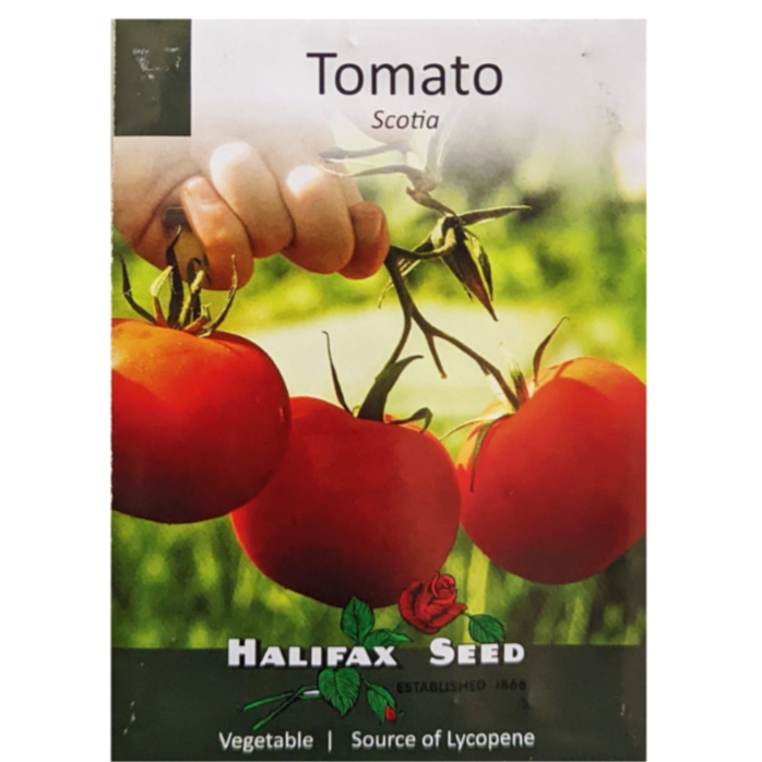 Halifax Seed Tomato Scotia