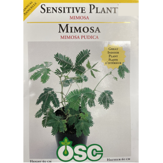 OSC Seeds Sensitive Plant Mimosa Pkg.