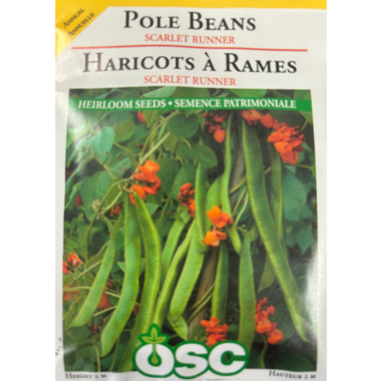 OSC Seeds Beans Pole Scarlet Runner