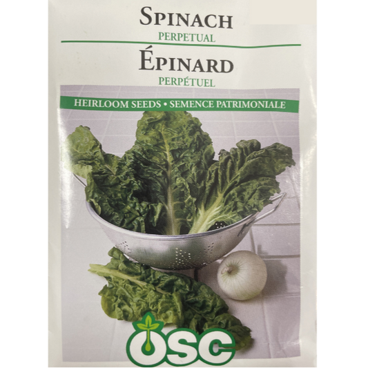 OSC Seeds Spinach Perpetual Pkg.