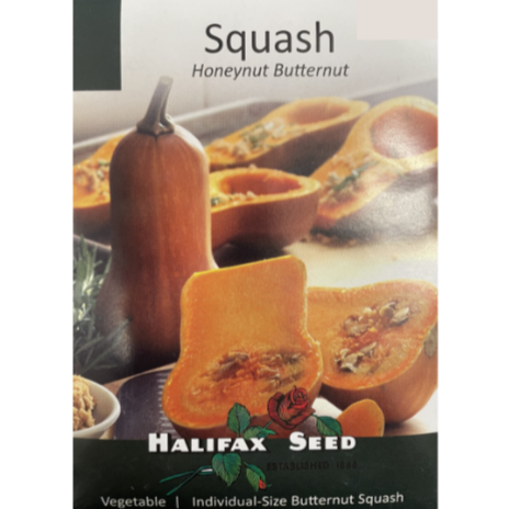 Halifax Seed Squash Honeynut Butternut Pkg.