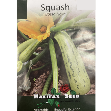 Halifax Seed Squash Bossa Nova Pkg.