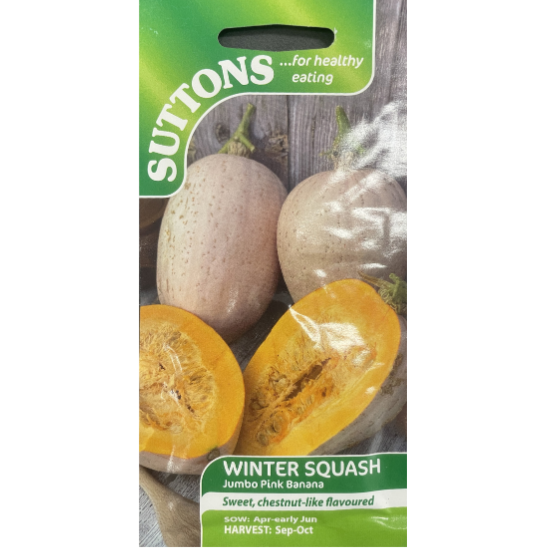 Suttons Seed Squash Jumbo Pink Banana Winter Pkg.