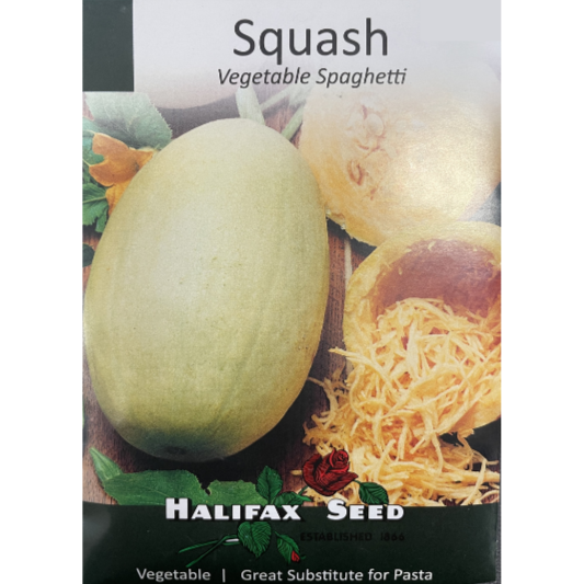 Halifax Seed Squash Vegetable Spaghetti Pkg.