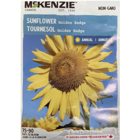 McKenzie Seed Sunflower Golden Hedge Pkg.