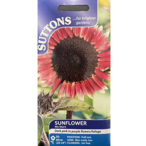 Suttons Seed Sunflower Ms Mars Pkg.