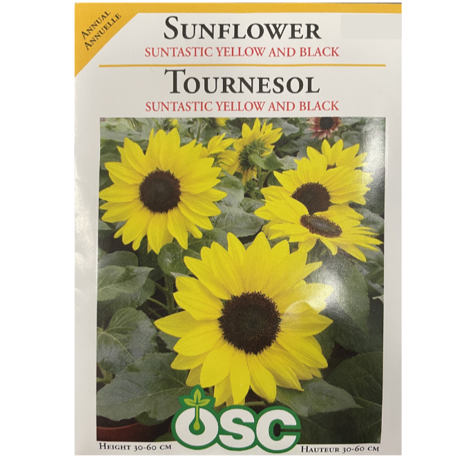 OSC Seeds Sunflower Suntastic Yellow and Black Pkg.