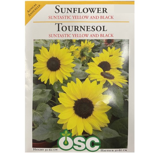 OSC Seeds Sunflower Suntastic Yellow and Black Pkg.