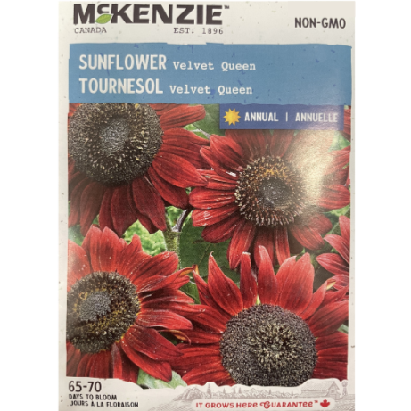 McKenzie Seed Sunflower Velvet Queen Pkg