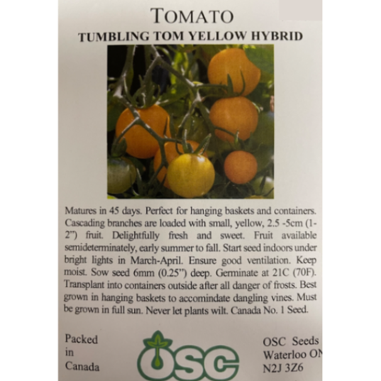 OSC Seeds Tomato Tumbling Tom Yellow Hybrid Pkg.