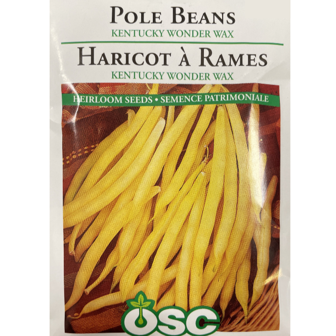 OSC Seeds Beans Pole Kentucky Wonder Wax