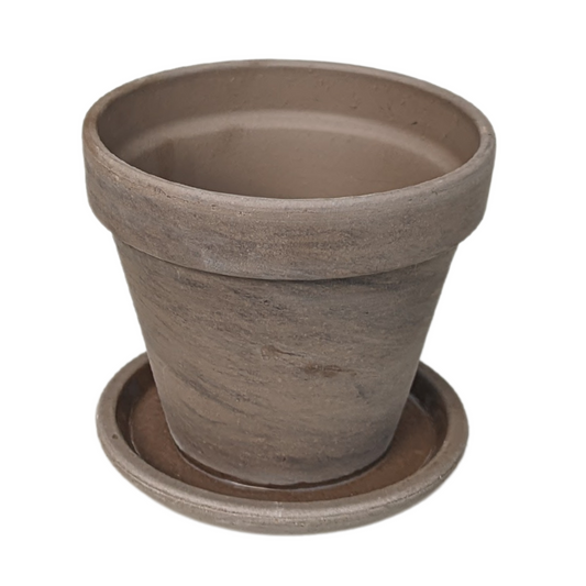 Clay Pot w/Saucer Brown